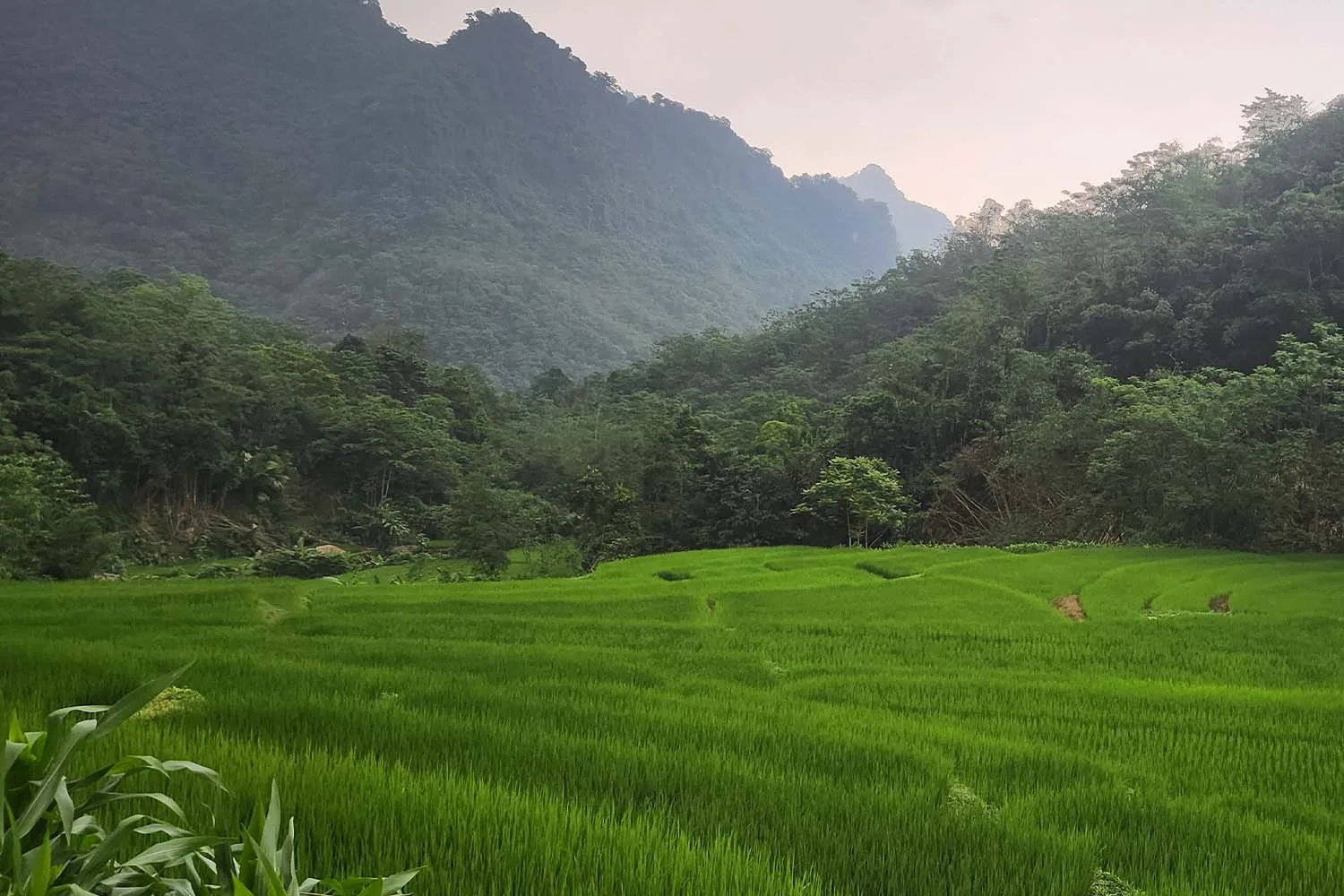 Northern Vietnam: Peaks & Passes Tour