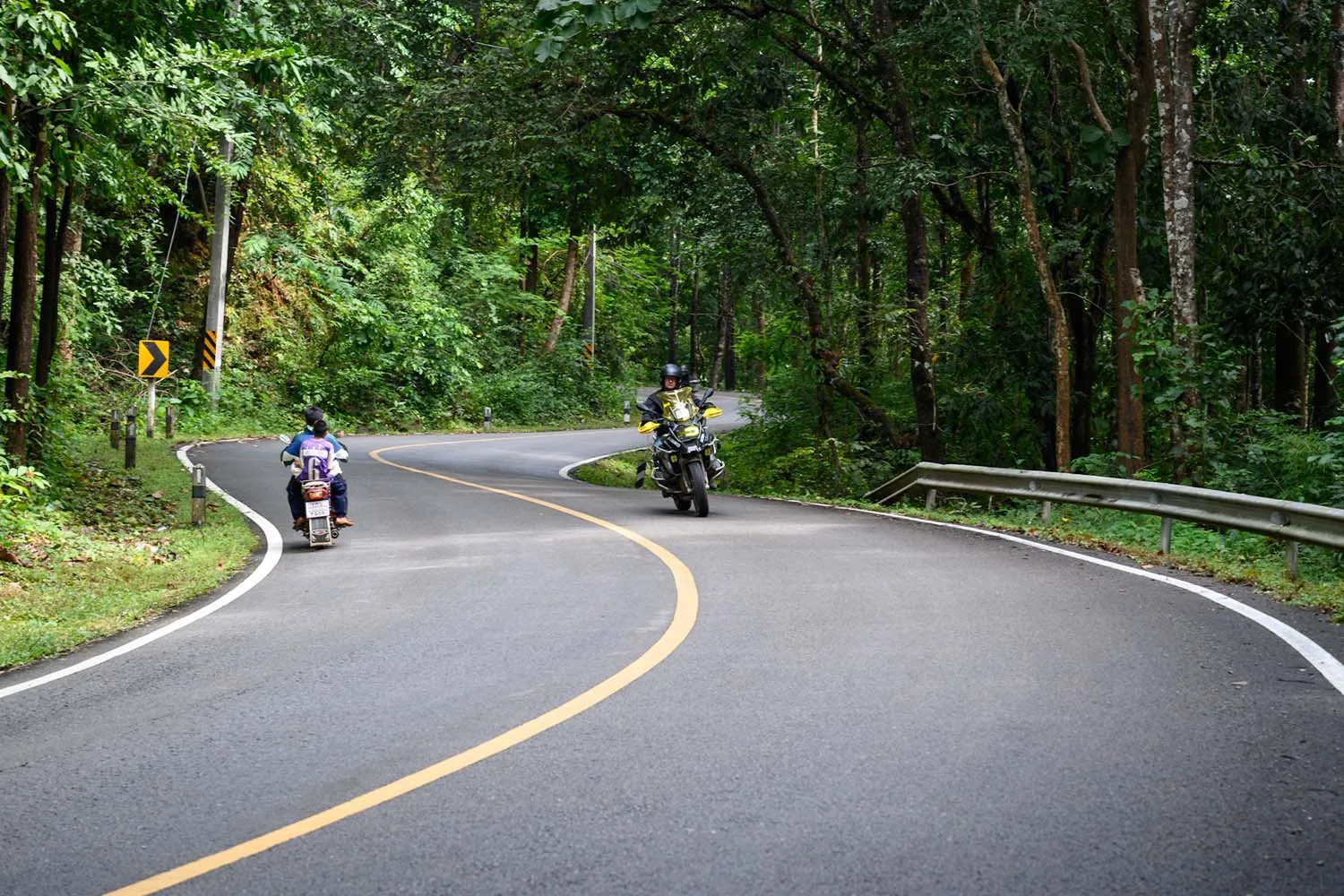 Pai Jungle Enduro + Mae Hong Son Loop 1864 Curves