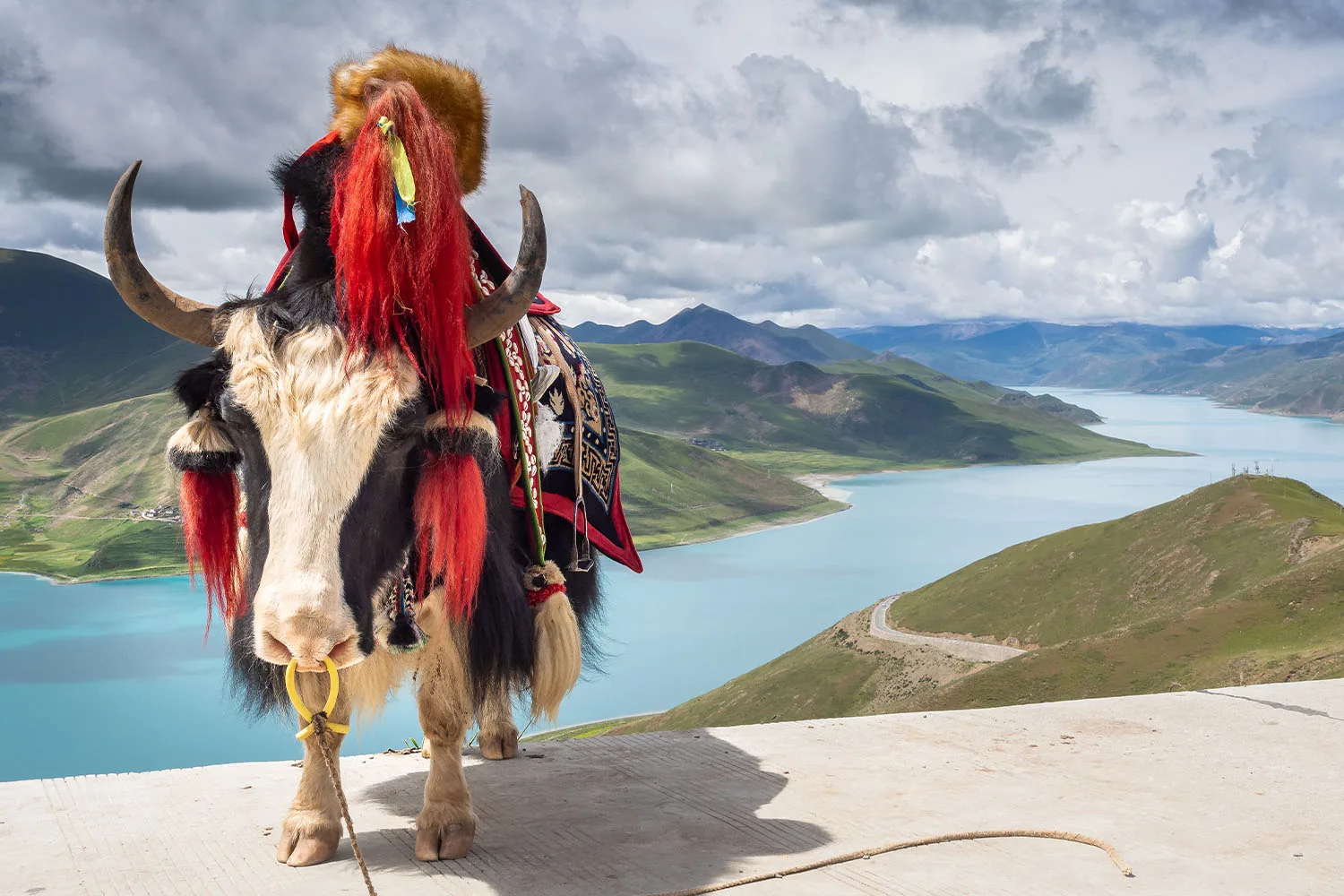Ride to Everest, the Ultimate Tibet Himalayan Motorcycle Tour from Lhasa to the Roof of the World