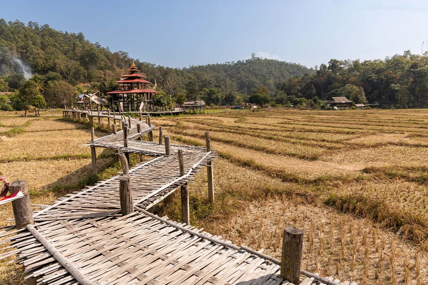 Wild Elephants Encounters – Ride, Swim & Rafting – Mae Hong Son Loop 1864 Curves