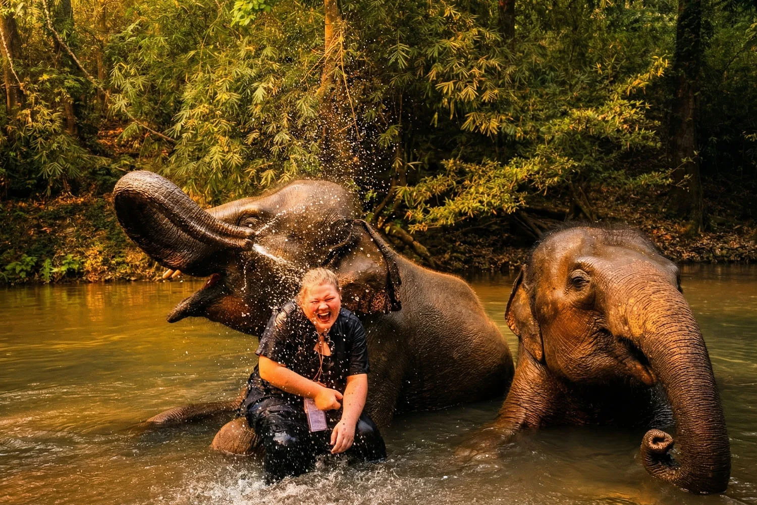 Wild Elephants Encounters – Ride, Swim & Rafting – Mae Hong Son Loop 1864 Curves